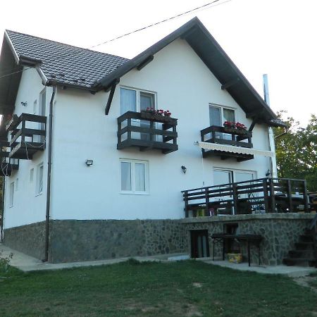 Elder Villa Bran (Brasov) Exterior foto