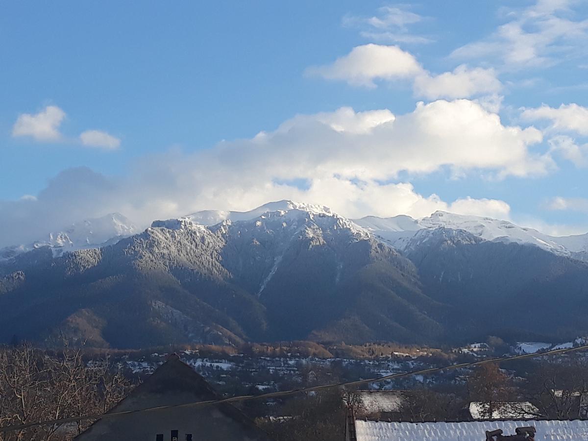 Elder Villa Bran (Brasov) Exterior foto